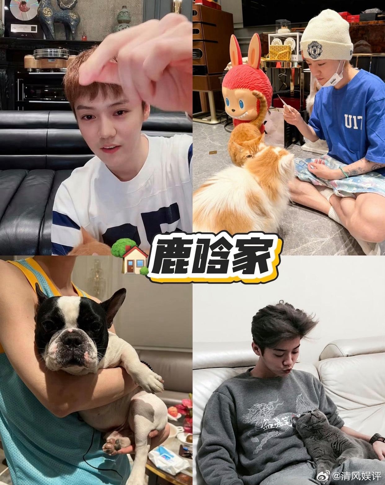 1.鹿晗的那套房子在圈内挺有名的，可以说是玩咖的集中地，喝酒聊天玩耍参与的人特别