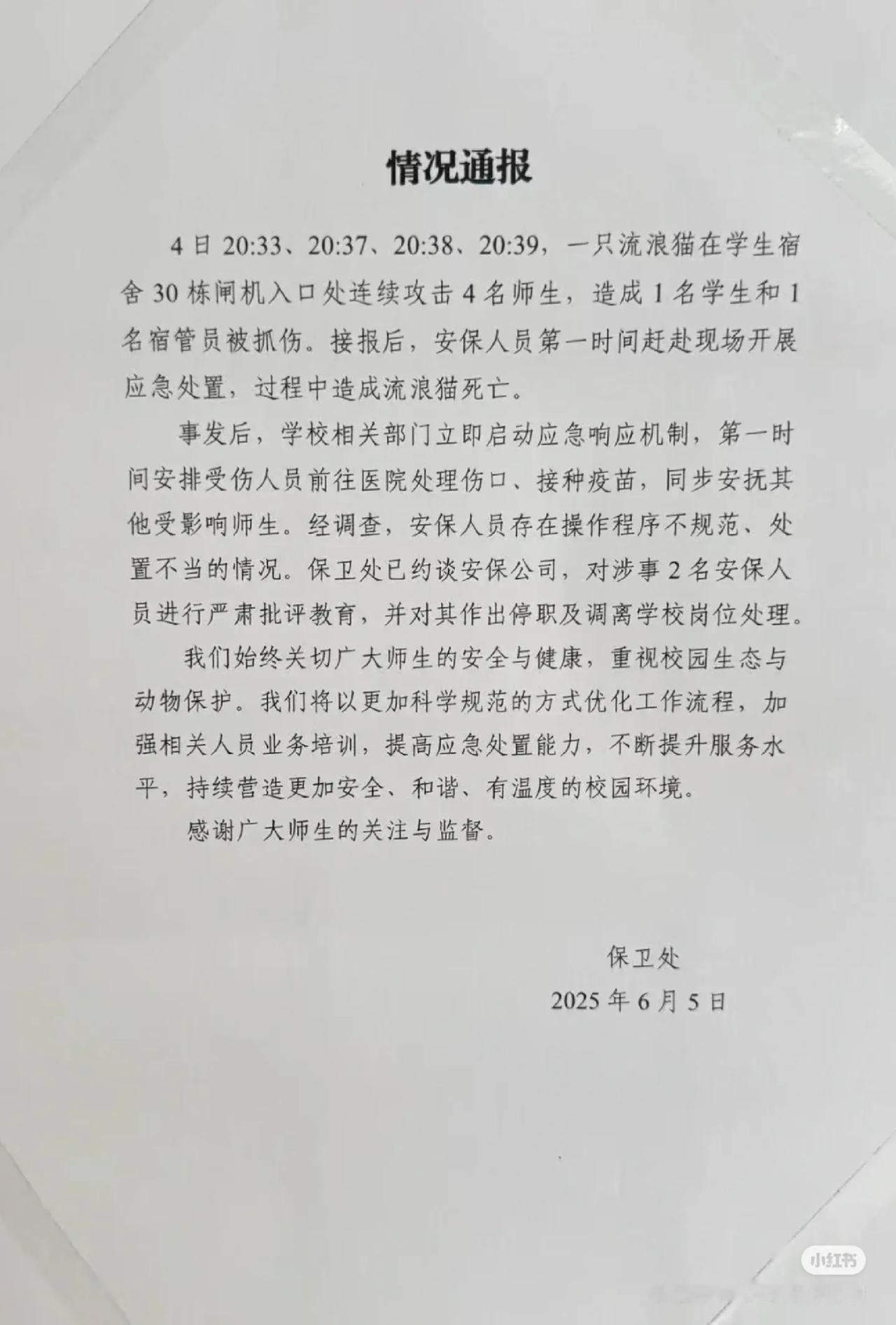 北理工保安打死学校的流浪猫，因为引发了学生的愤怒，还有网友们的抨击，学校对打死猫