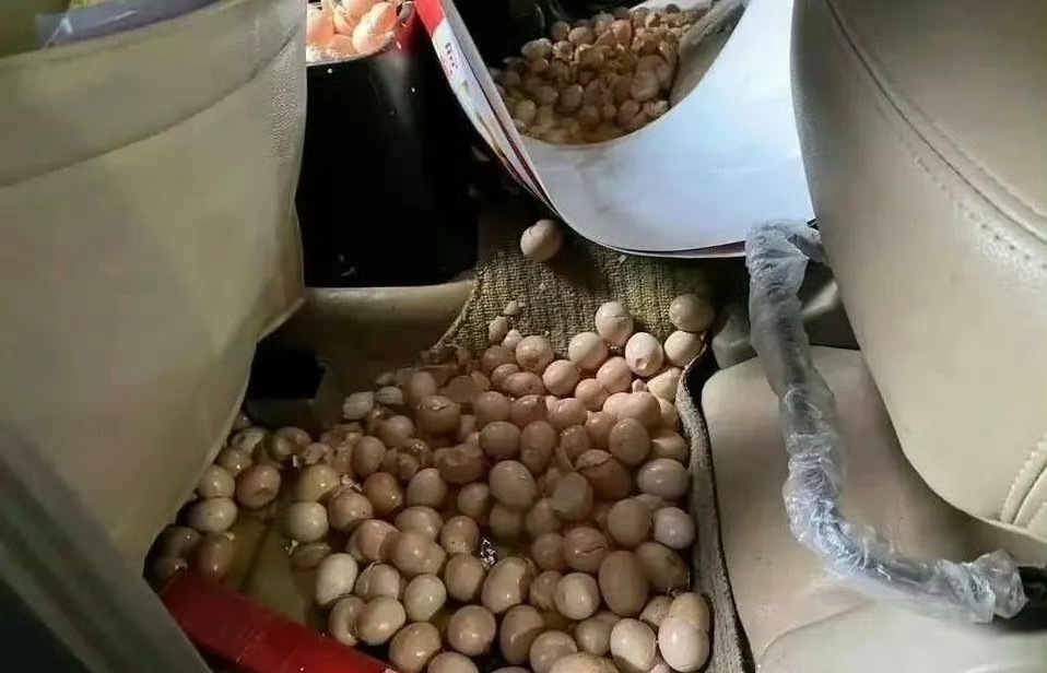 网友：家人非让带，这下好了，该怎么办~​[裂开][裂开]​​​