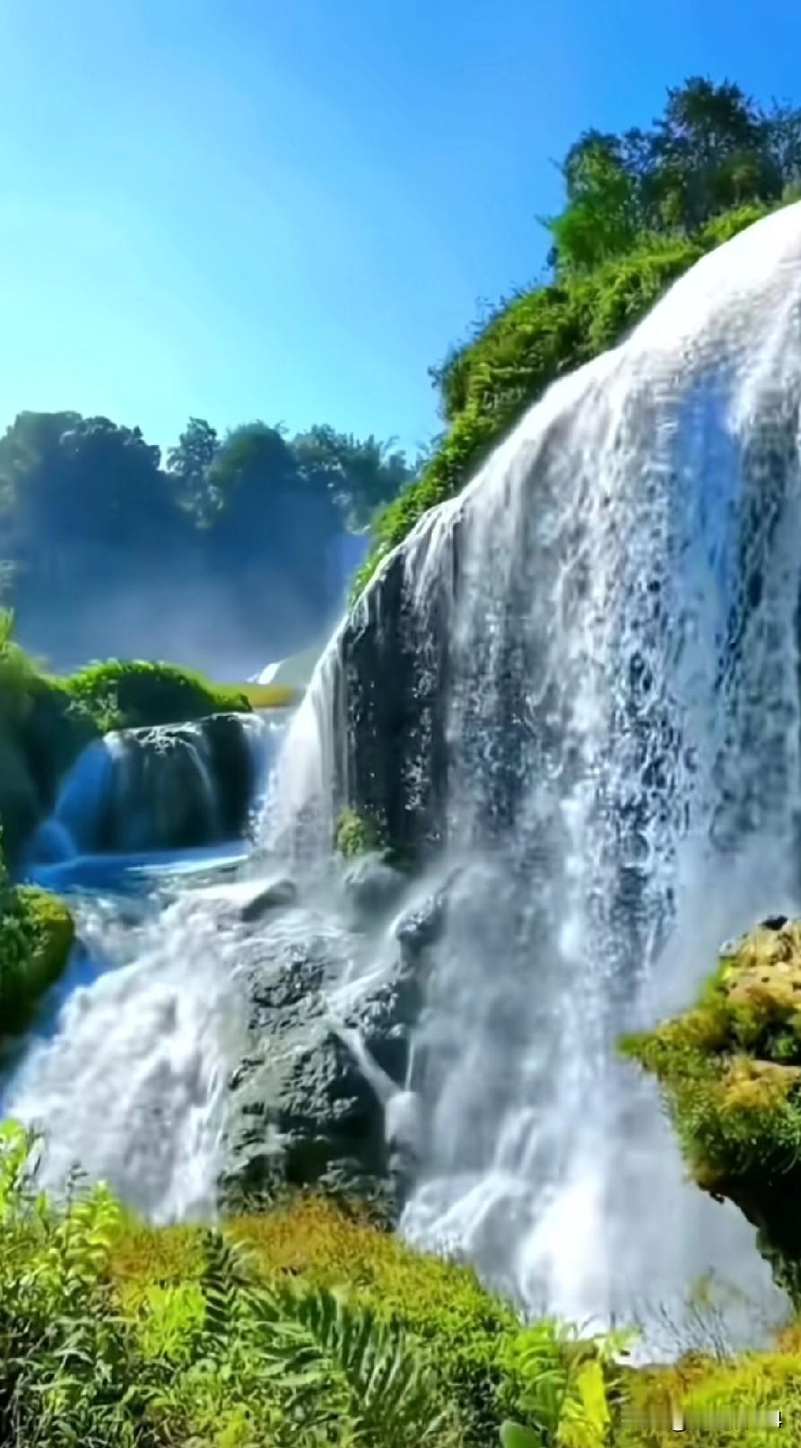 作为胃癌患者，我2026年最大的心愿还是勇敢的活着，而且还是有质量的活着！近期