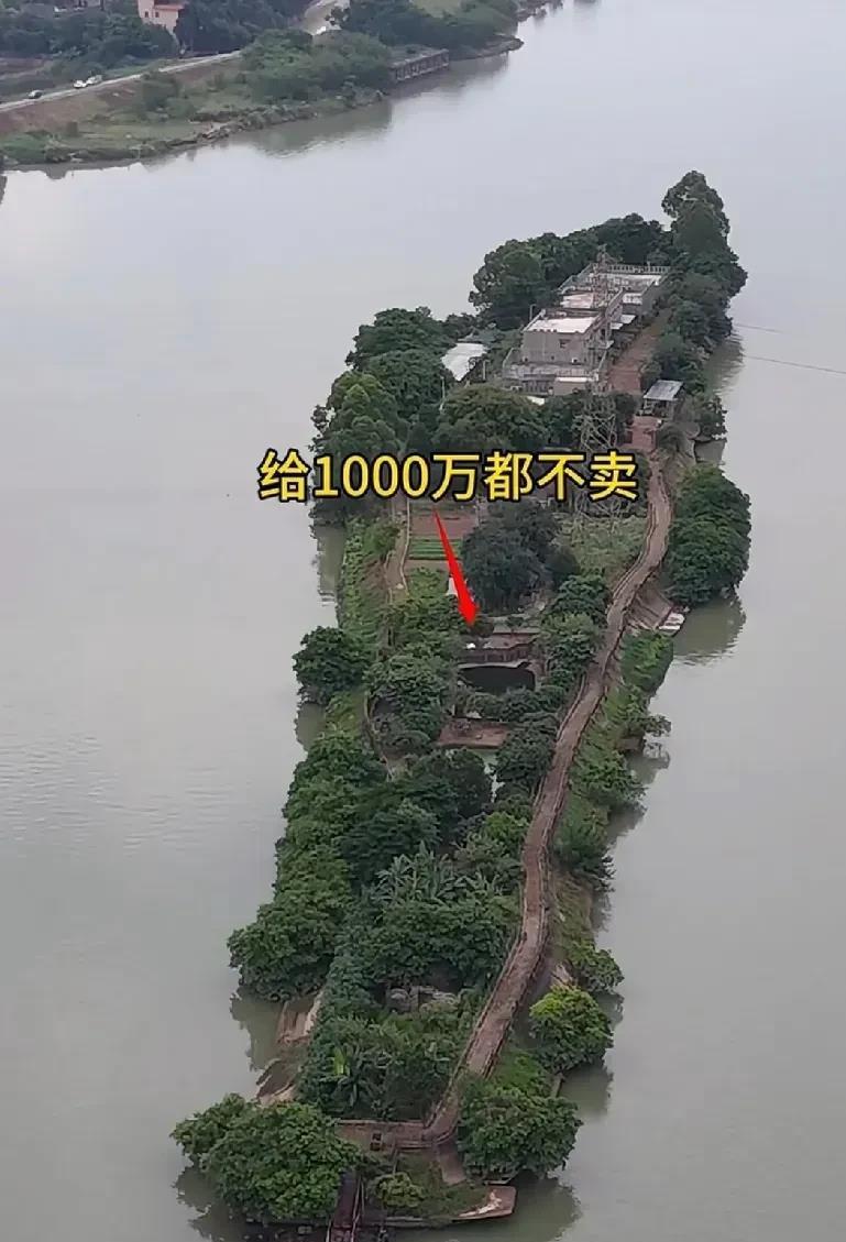 小岛上的一幕，不得不说，惊呆了啊。