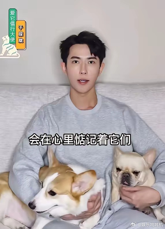 于朦胧这件事，我发现有个很大的疑点，大家应该都没注意到，那就是他养的两只狗！​养