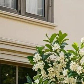 多希望我只是个孩子，给颗糖就笑，摔倒了就哭，不用伪装，不用压抑自己的心情