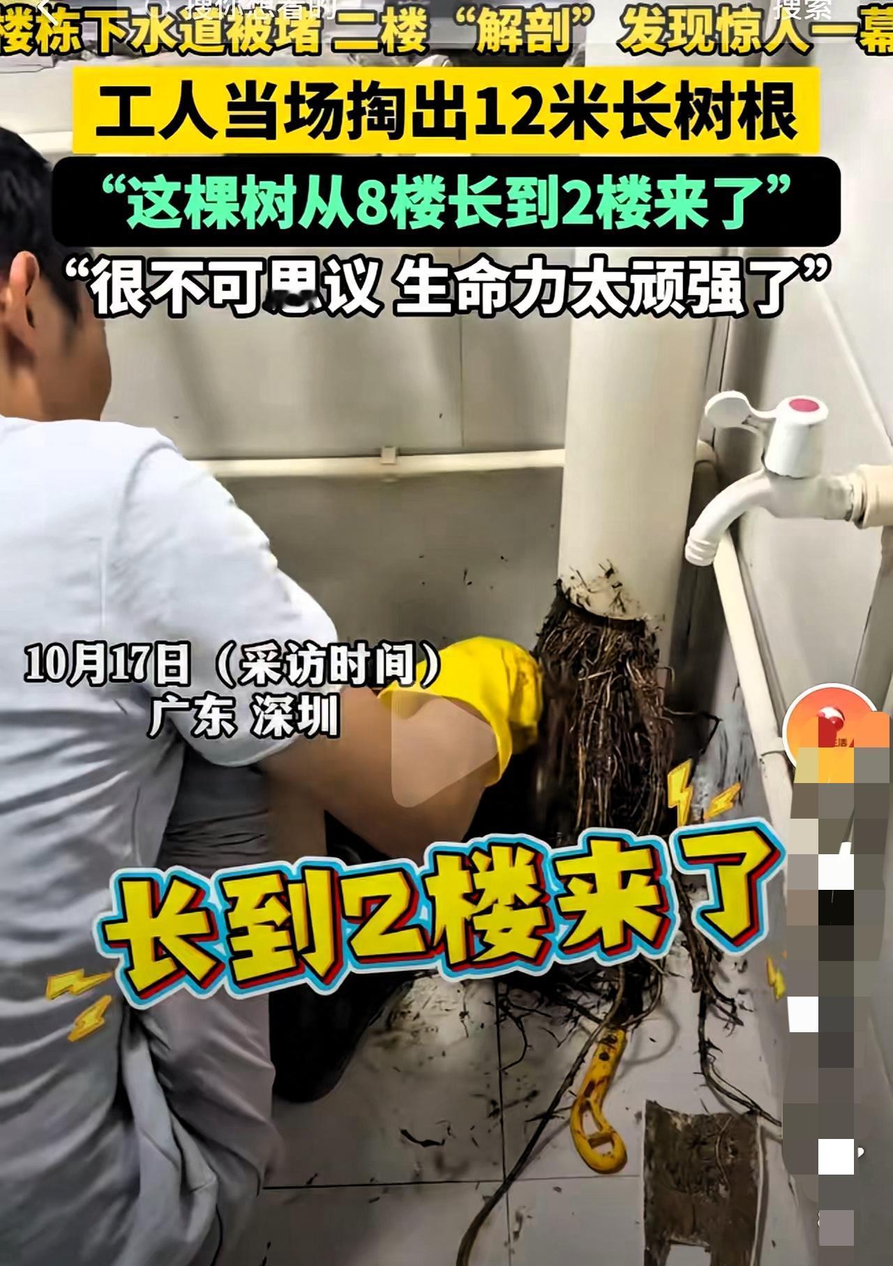万万没想到！！广东深圳，一租户在2楼居住突然发现下水道被堵得严严实实，几乎一滴水