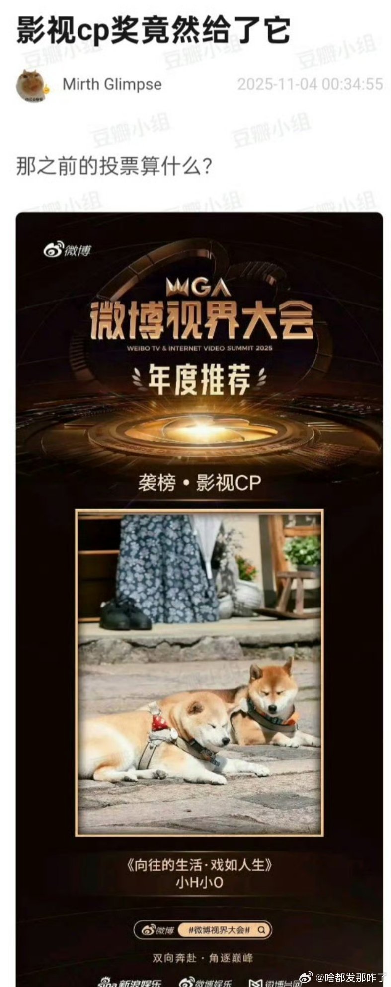 浪:你嗑的cp不如🐶[笑着哭]​​​