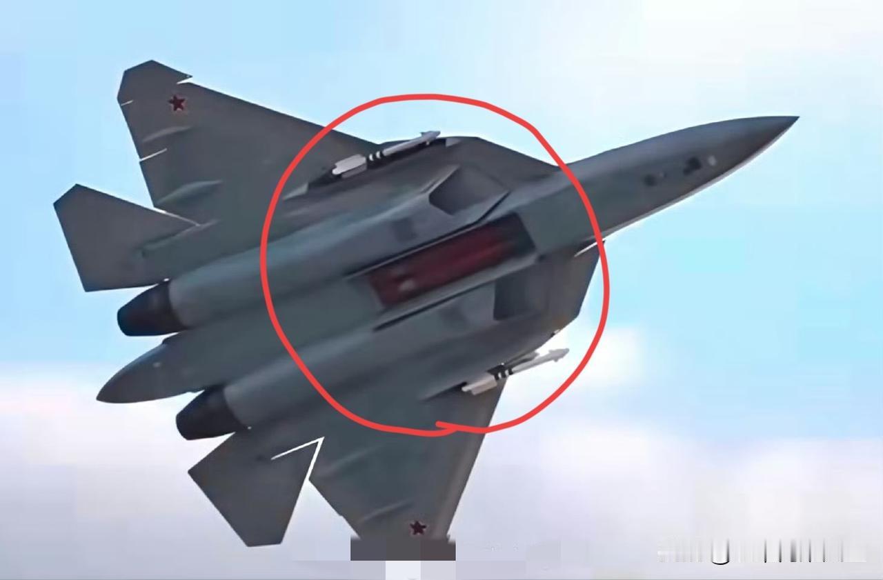 不容易啊，大俄的苏-57战机首次公布了自己的主副弹舱同时开启后的状态！[墨镜]