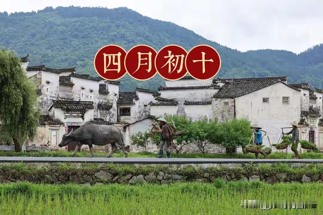 今日四月初十