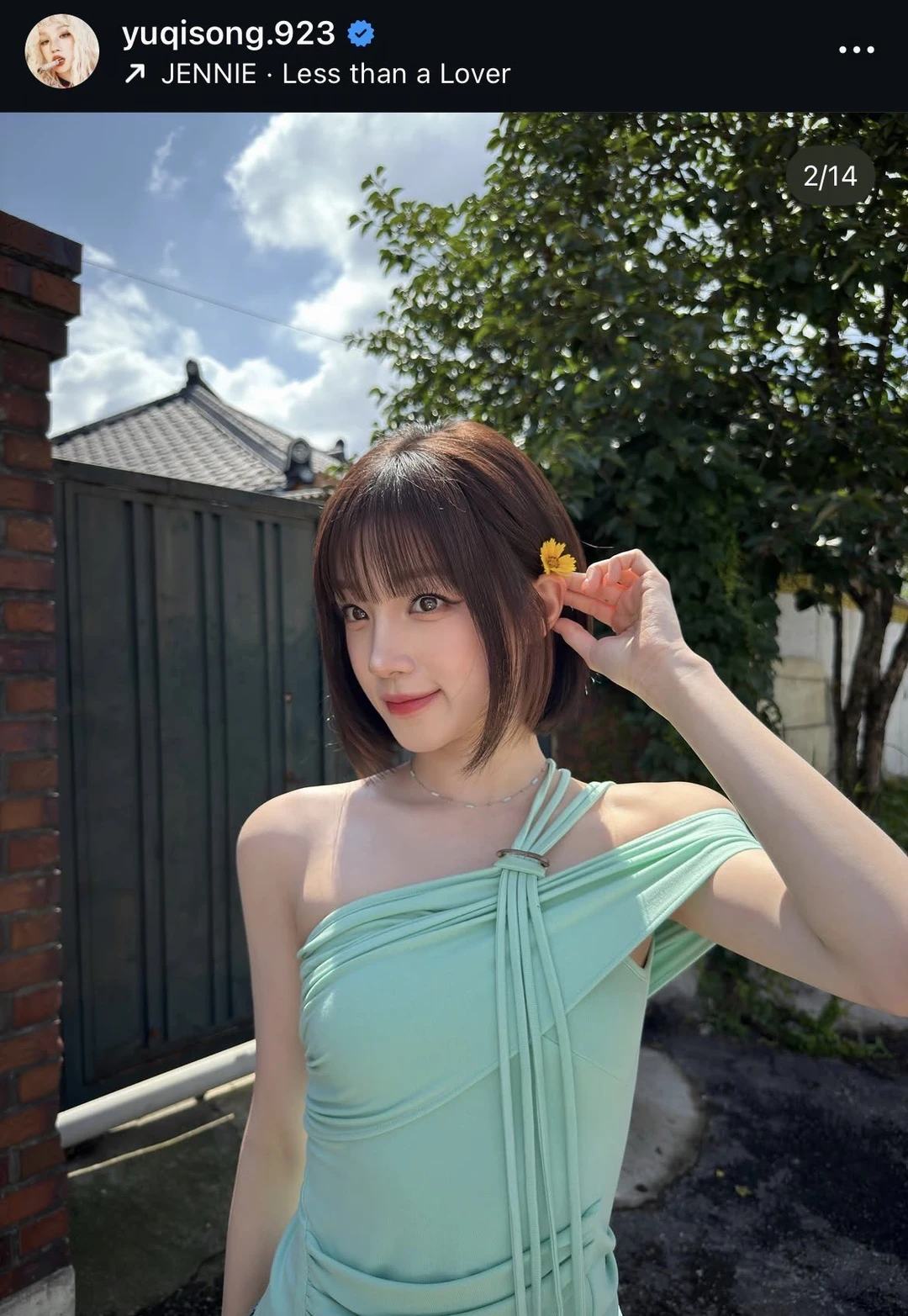 用上JENNIE新歌的明星们🦋