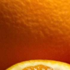 橙子的种植方法一、选地与整地：选择阳光充足、排水良好的地块，土壤以疏松肥沃的