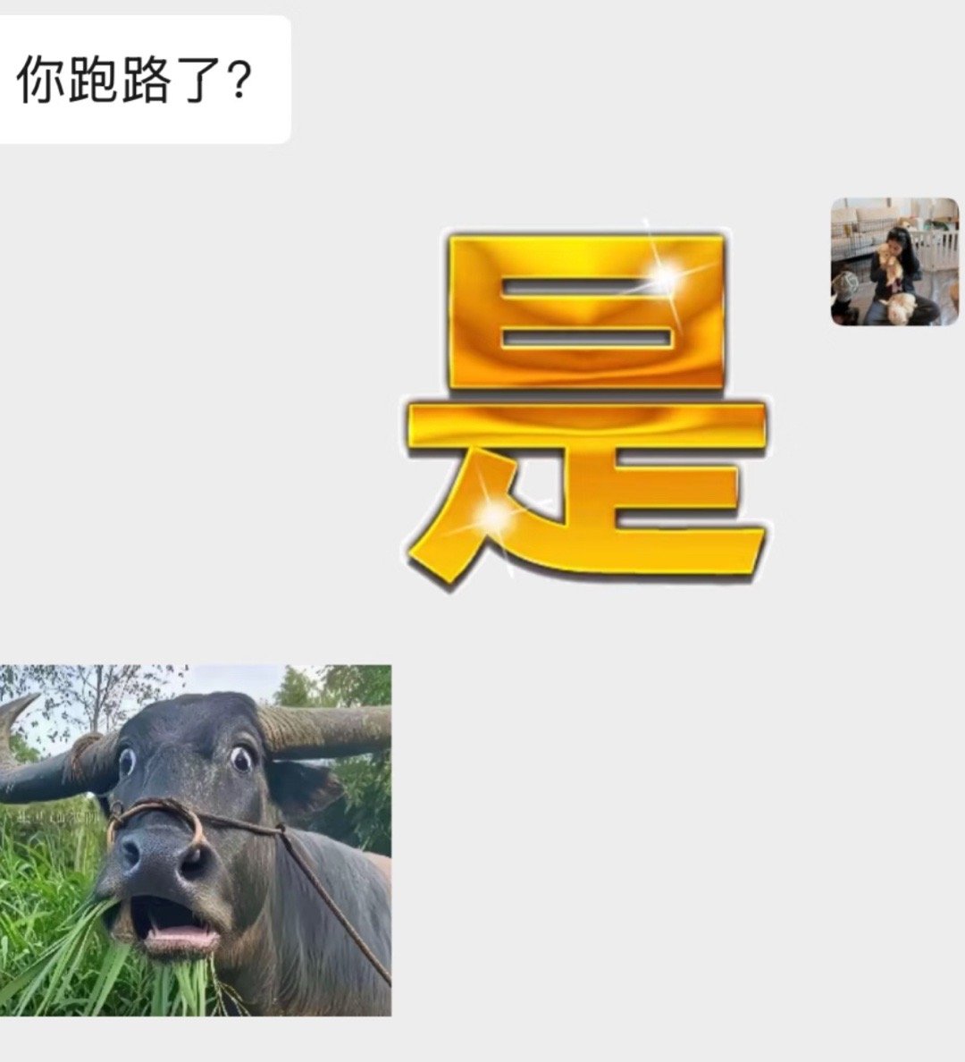同事哞的一声发现同事离职了[doge]​​​