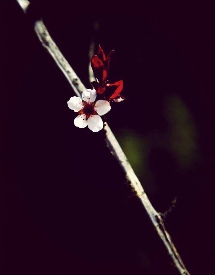 人一生会有各种各样的际遇，有些事情会带给人很强的精神刺激，人一旦经历之后，就会感