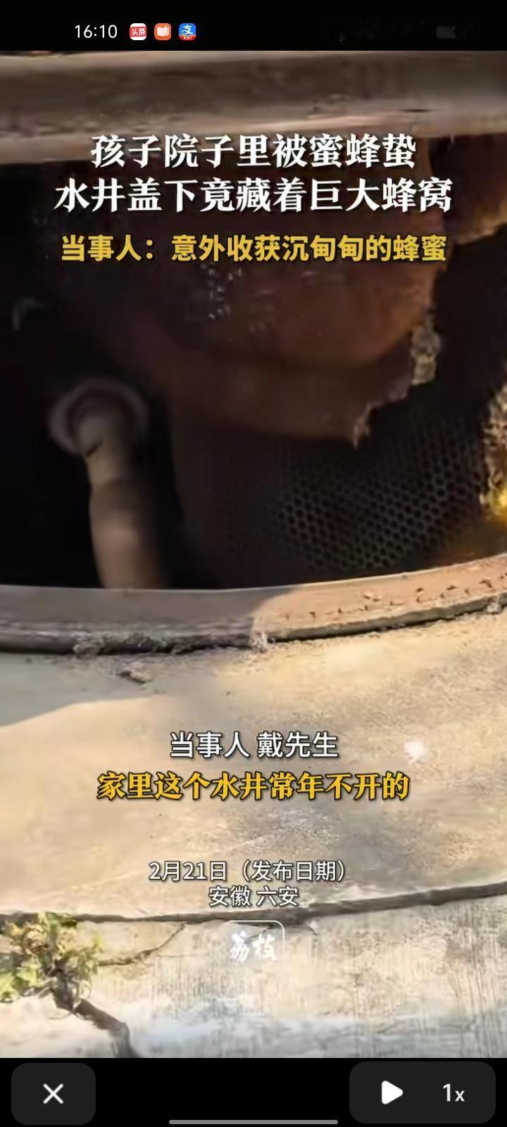 2月15日，六安市霍邱县。戴先生称，家里的水井常年不开，孩子在院子里玩被蜜蜂蛰。