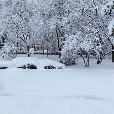 🌙这次寒潮，重点已经不是降温了，真正要命的，是马上要砸向湖南、贵州、重庆的冻雨