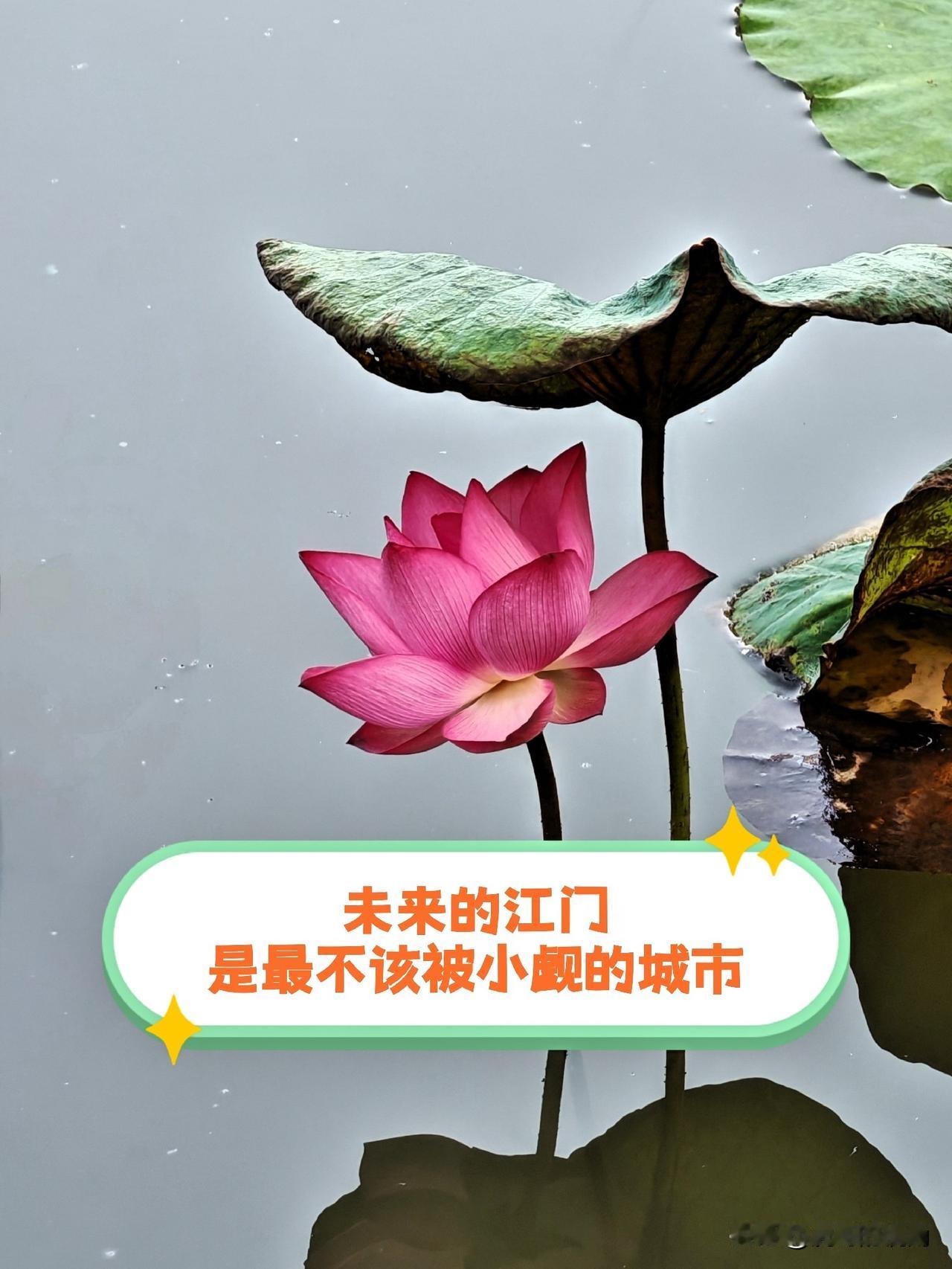 江门是最不该被小觑的城市，其前景着实十分美好。当下，江门在广东省内的存在感似乎不