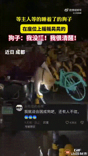 四川成都一名女子出门逛街时，看见一只小狗站在电动车座位上等待主人，谁料因为主人长