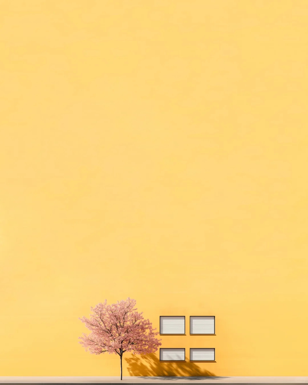 审美提升丨📷：MarcusCederberg