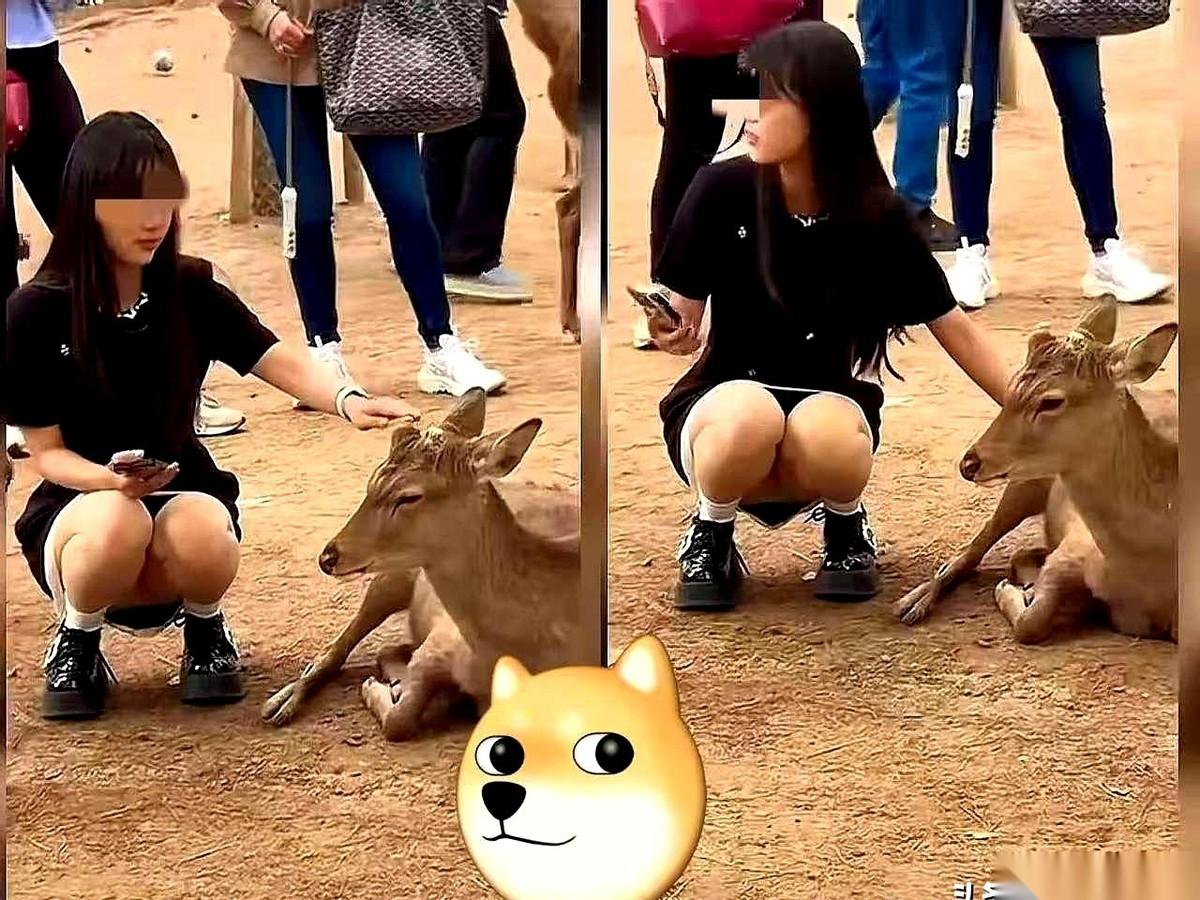 滑手机看到一张图，给我看愣了。图本身其实还好，但底下的评论，真的，可以入选年度