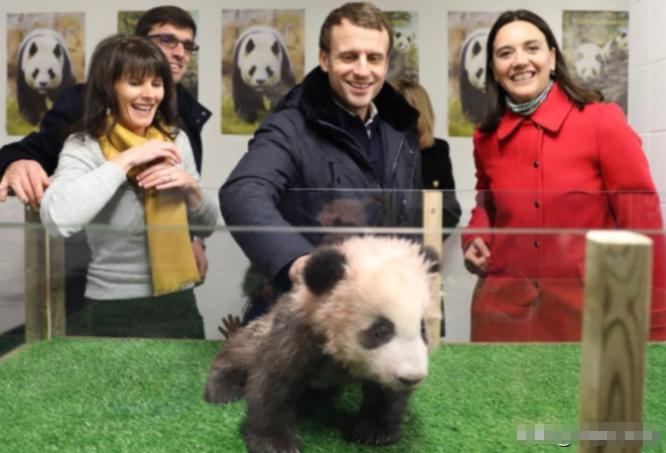 时隔两年半，马克龙再次访华，中方的态度已经不同了。2023年4月那次，中方红毯