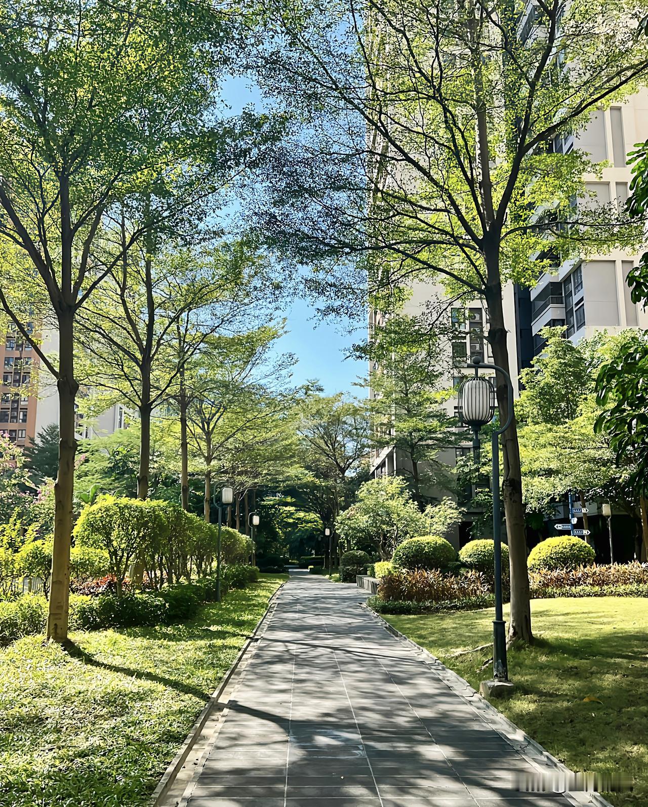 前年搬进人才公寓，这是一个新建的小区，25层楼一梯四户，住的都是从各地引进来的人