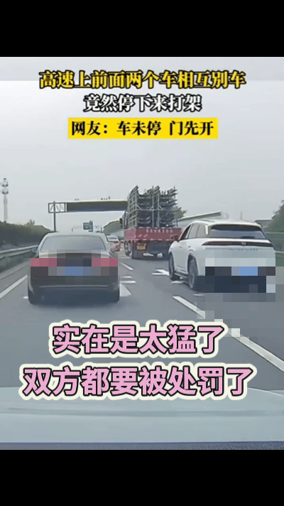 这气焰也太嚣张了，奥迪车副驾驶高速上扔东西砸白色车，白色车逼停奥迪，奥迪副驾驶丝