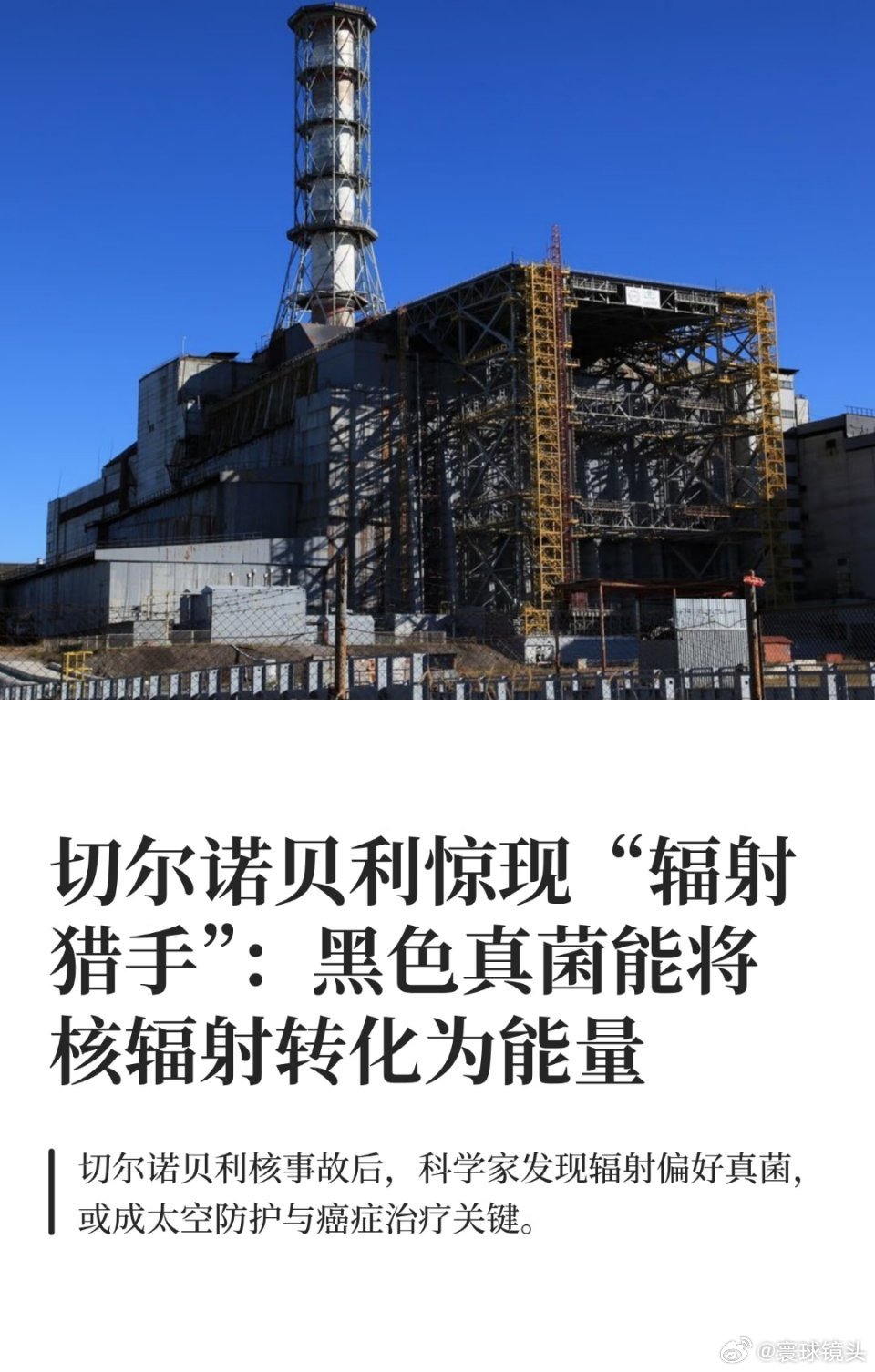 切尔诺贝利神秘真菌或能吃掉辐射切尔诺贝利这里面的真菌应该是变异了吧。海外新鲜事