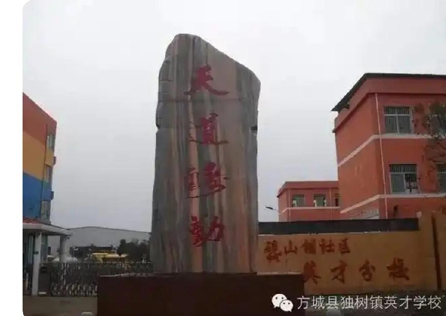 河南方城一所寄宿制民办学校发生火灾，13名小学生不幸遇难，背后真相令人震惊。河
