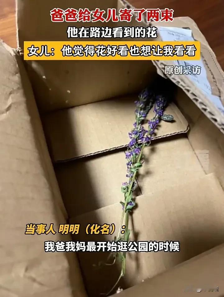 隔着屏幕都能感受到这名女子父母对她的爱有多深！8月3日，北京一名女子突然收到一个