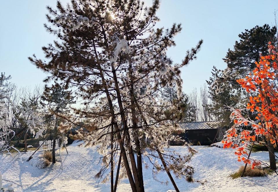 冬天里的一把火：726套！北京二手房网签量又炸了！其他城市也捷报频传，看来春天不