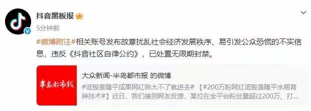 人到了中年再看前阵子媒体报道的农业网红诋毁袁老成果这事，最大的“解气”，是账