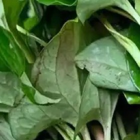种植鱼腥草的方法：1.选地：一、选择湿润、肥沃的砂质土。二、深翻土