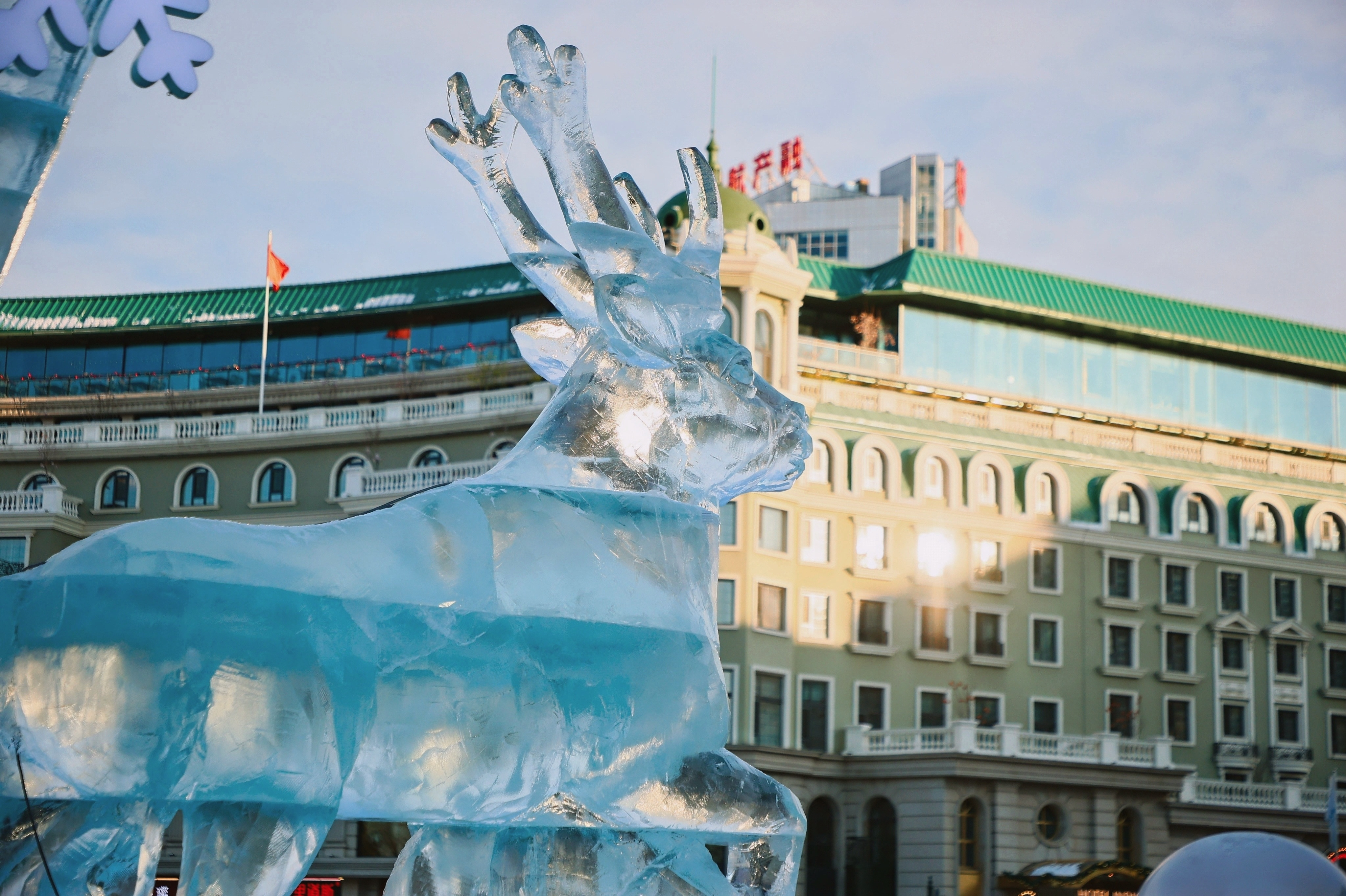 这个冬天，哈尔滨再次刷新期待——冻梨已不是唯一风景，比冻梨更有特色的是东北冻车！