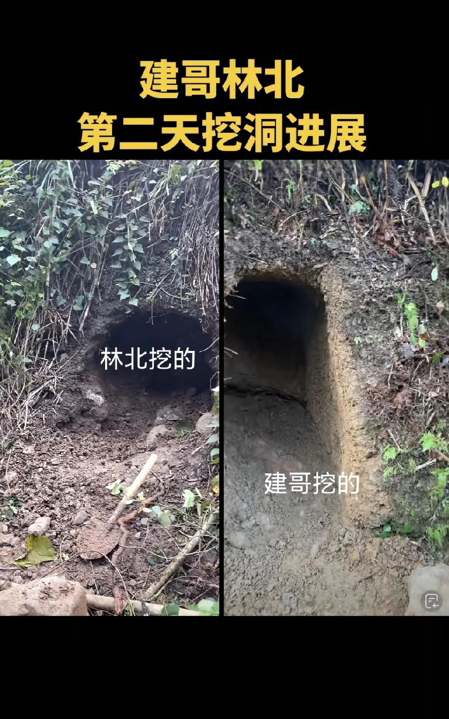 林北这个容易被活埋，土质不行！昨天员外看了林北选挖的地方直摇头，潮湿可能挖着挖着