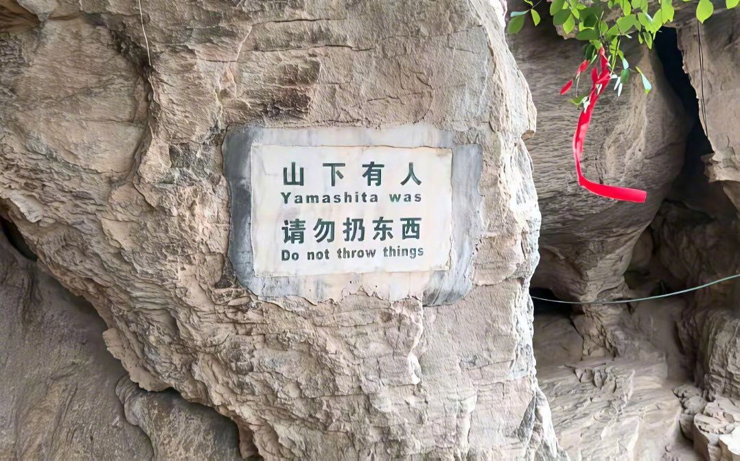 这位日本游客被点名通报批评