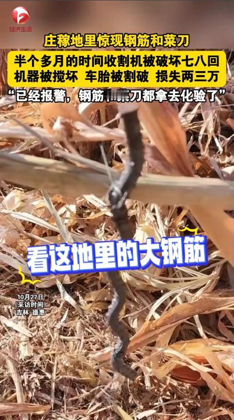 “严查到底！”2025年10月，吉林德惠，一男子开收割机收自家地里的粮食，结果多