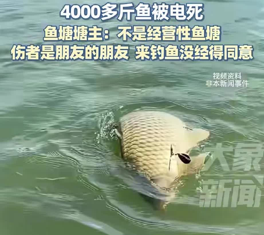 你来偷鱼我都不追究，你被电了反而找我要赔偿？那我那被电死的4000多斤鱼