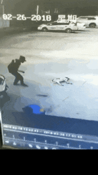 搞笑gif: 家里的地板实在是太滑, 可惜我的脚不防滑