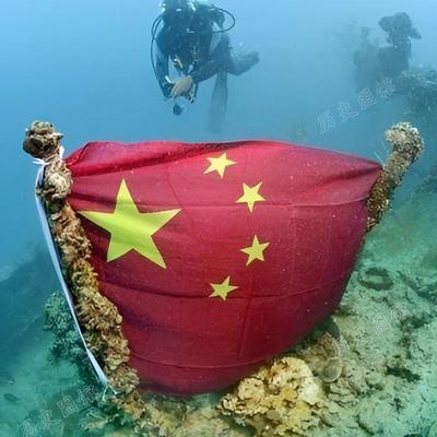 2015年，日本记者潜入帕劳海底，纪念二战沉没舰船上的士兵。突然，发现在一艘沉船