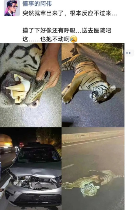 这能把车撞成这个样子。