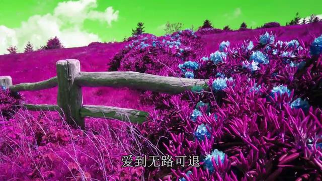 爱到疯癫(苏勇演绎男男纯爱,赞,3分18秒的时候