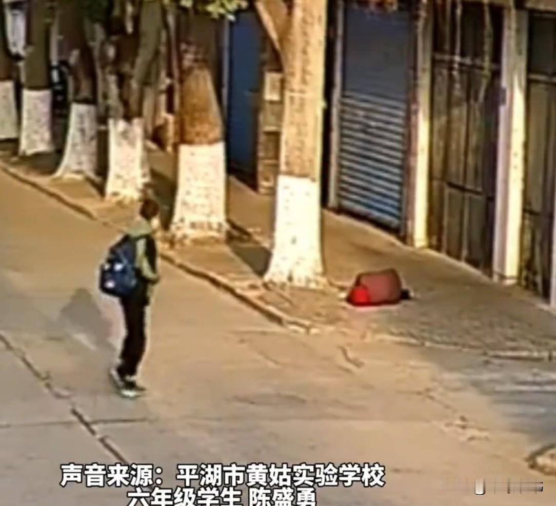 嘉兴街头，一男孩撞见老奶奶摔倒，想着自己扶不动，撒腿就跑了。事后，民警和老师却纷