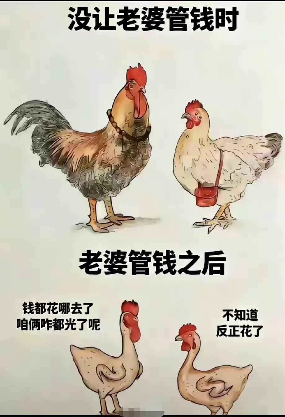 家庭和谐，经济透明是幸福生活的关键。