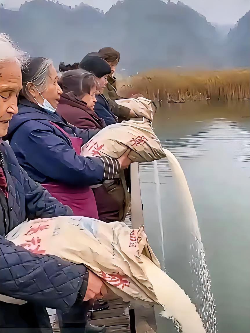 放生大米又是什么节奏？此时还有人在温饱线上挣扎，却有人把珍贵的大米拿来“放生”