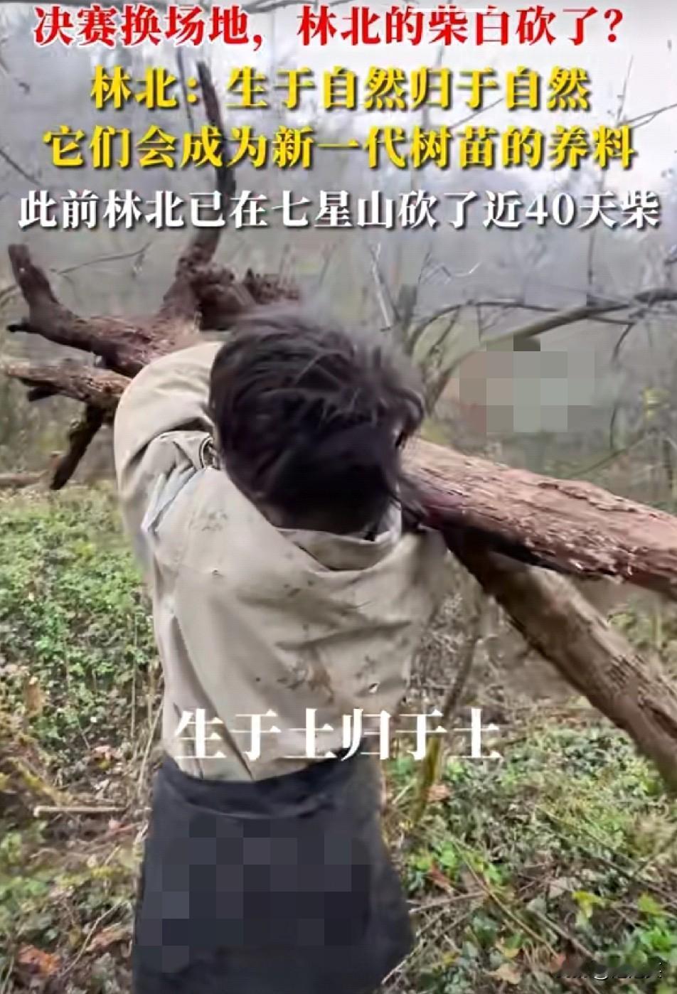 格局封神谁能想到张家界荒野赛决赛换场地，林北熬40天砍的柴火带不走网
