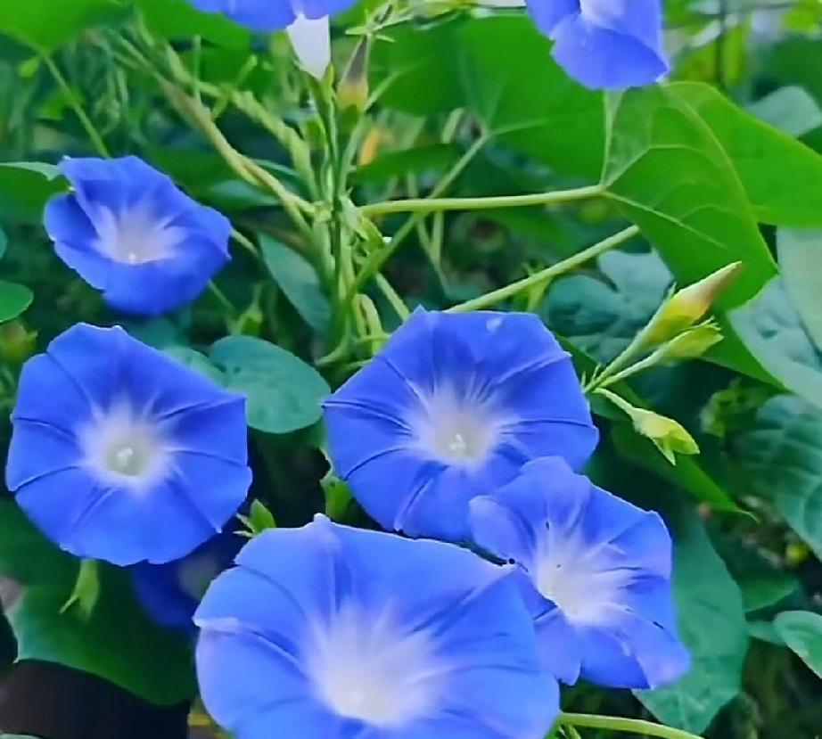 “再多努力也注定没结果”，是否值得继续付出？感情世界里，结果究竟是什么？是步入婚