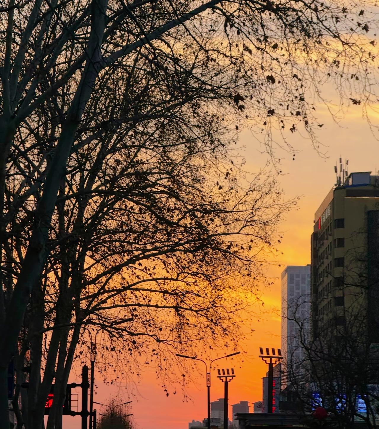 刘震云：）不要过于窥探你的伴侣，有的婚姻只是身体陪伴，而彼此的灵魂,从未匹配。