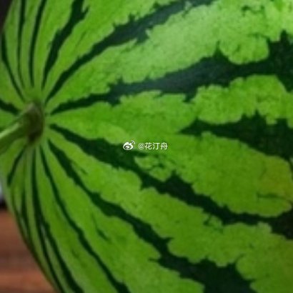 西瓜种植：一、选种与准备（播种前7–15天）✅关键操作：品种适配：南方（