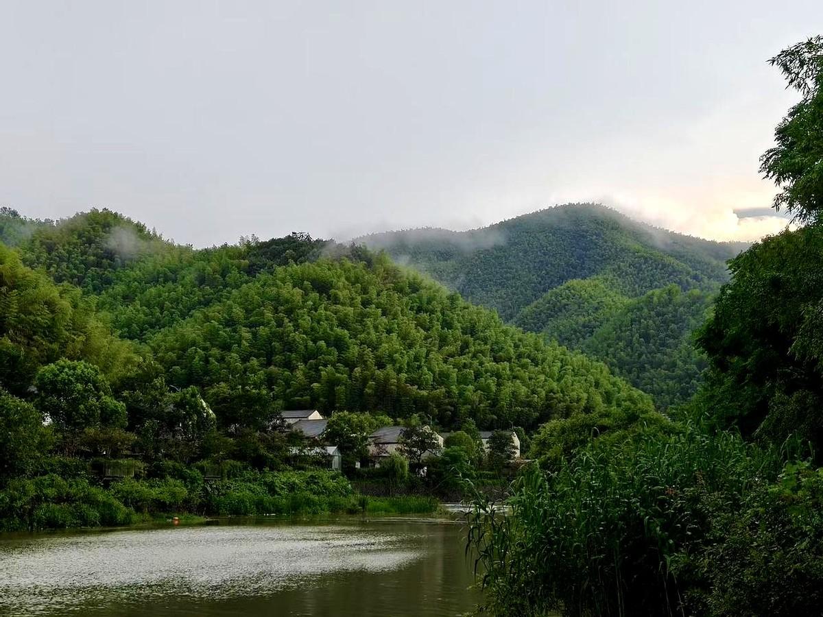 她加班到住院，老板却鼓掌午休键盘噼啪，周末屏幕亮，同事小赵把出差发票贴在朋友
