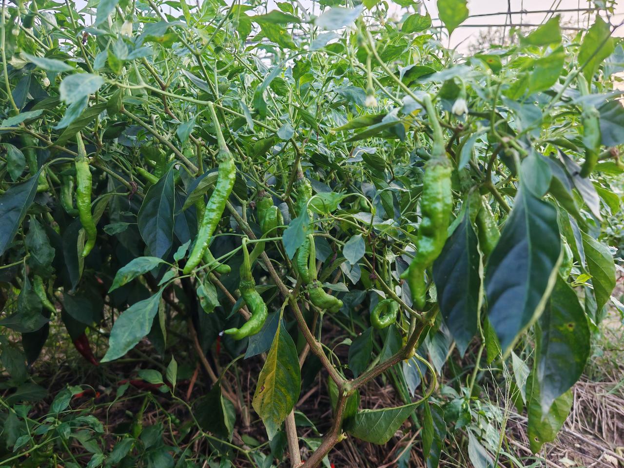 孩子高二，前两天的考试成绩原始分值380分，数学、物理、化学都考了总分的三分之一