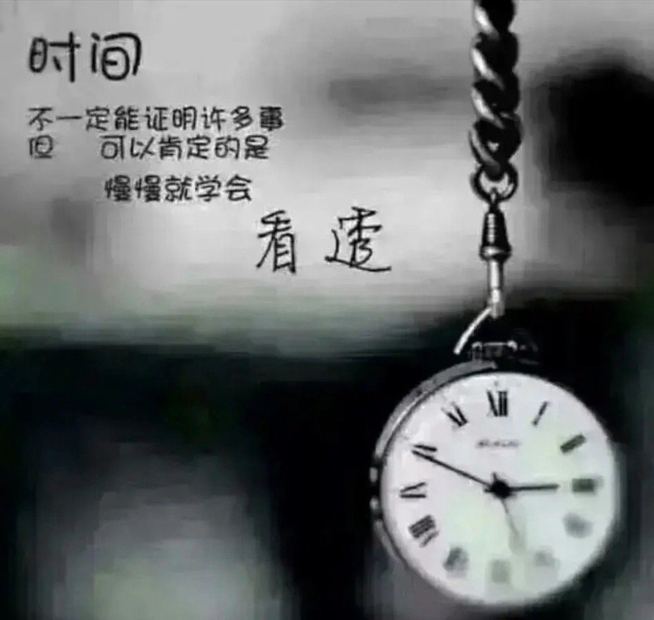 非常认同的一段话:“遇到猪，不要跟它谈理想，因为它关心的是饲料；遇到狗，不要阻止