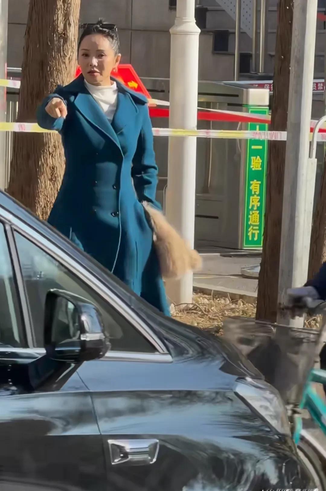 伊能静春晚彩排，脸肿得像发面馒头，这画面，直接击碎了你对她“不老女神”的滤镜！